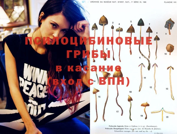 кокаин Ельня