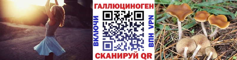 цена наркотик  Новоульяновск  Галлюциногенные грибы GOLDEN TEACHER 