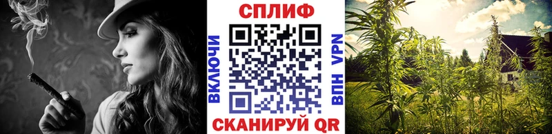 купить наркоту  blacksprut   Каннабис план  Новоульяновск 